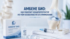 Амбене Био: как работает хондропротектор и в чём особенности его применения
